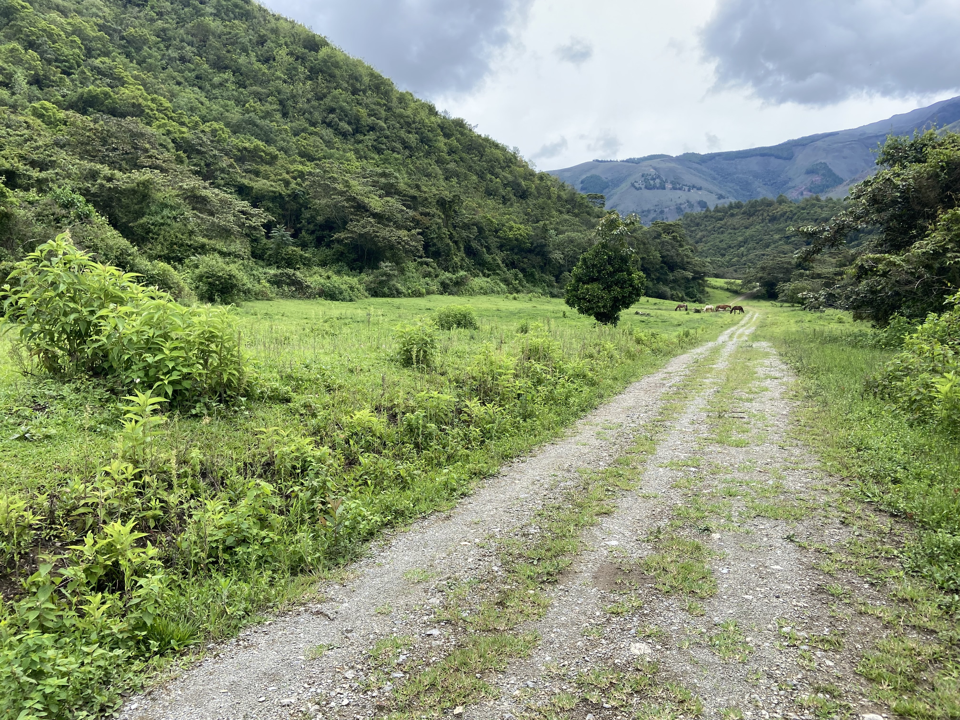 Fundo Palmapampa Huancabamba 651.48 ha
