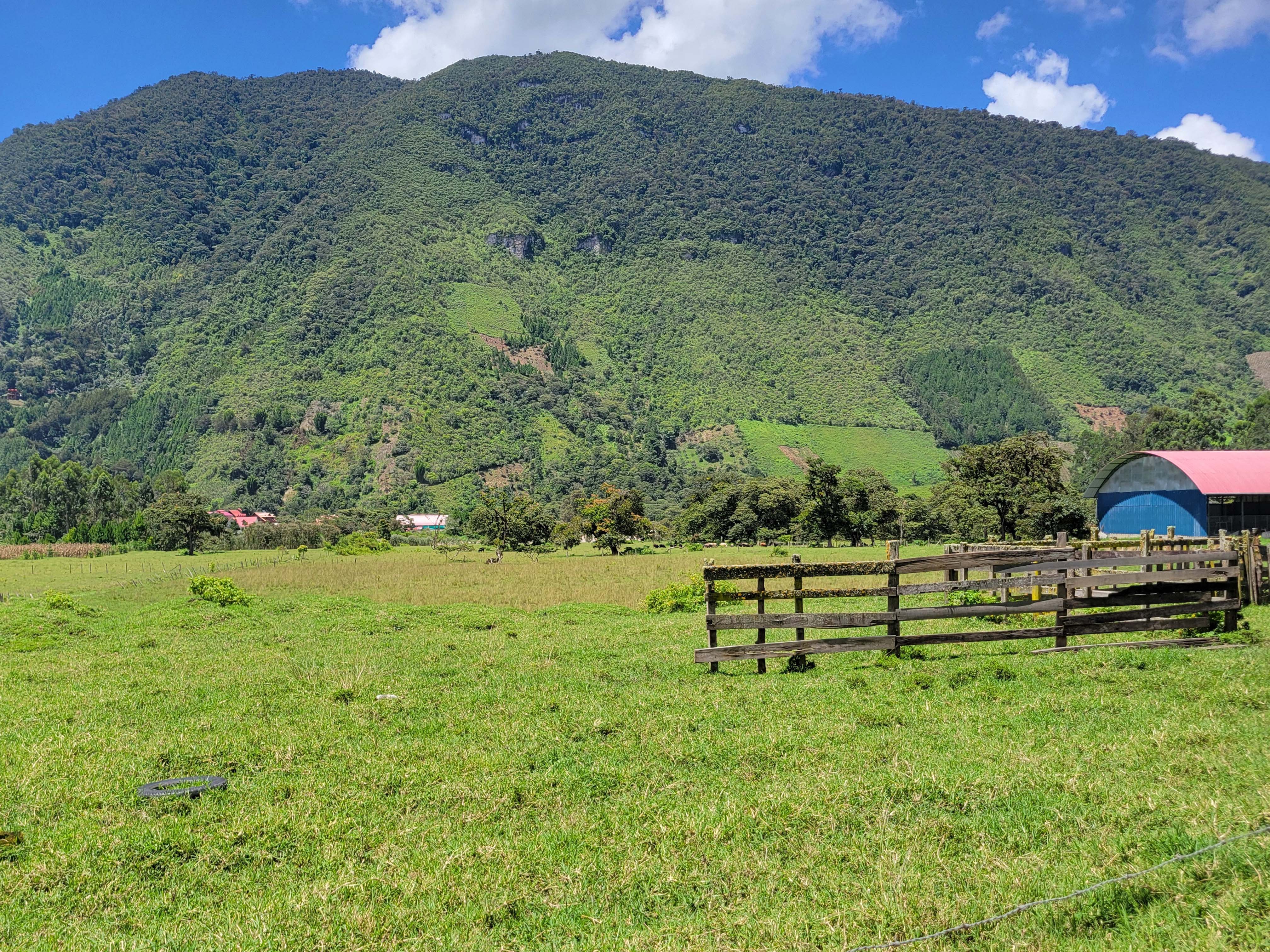 Terreno en Oxapampa de 6.5 Has